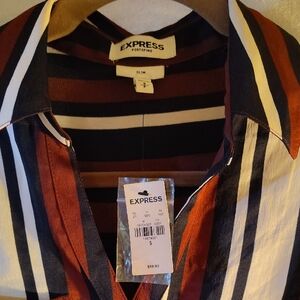 Express Multicolor Striped Shirt